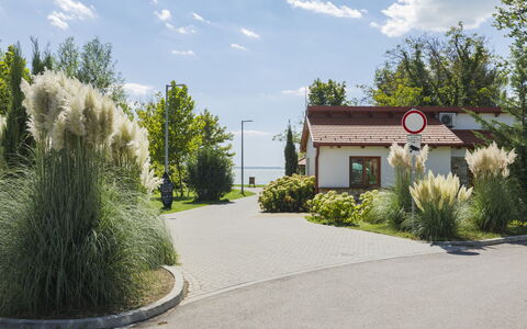 Piccola: Arbusto, Giardino, Driveway, Landscaping, Passerella, Shade, Sobborgo, Cortile
