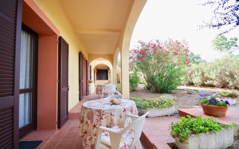 Alloggio:&nbsp;Mono a