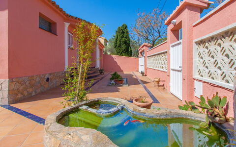 Requesens: Proprietà, Casa, Immobiliare, Costruzione, Casa, Acqua, Azzurro, Zona Residenziale, Estate, Piscina