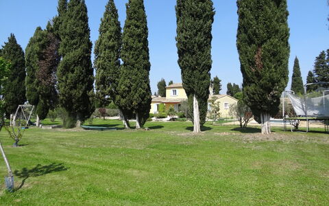 Siflora: Albero, Parco, Erba, Woody Impianto, Pianta, Graminacee, Prato, Giardino, Architettura, Fotografia
