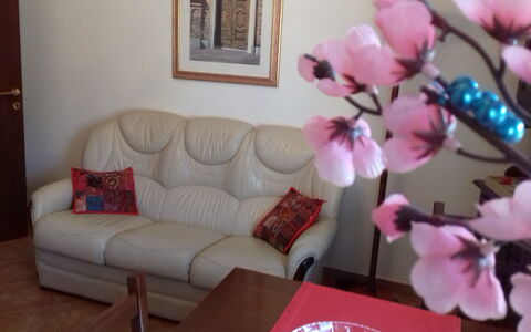 Corallo: Rosa, Camera, Soggiorno, Proprietà, Prodotto, Fiore, Interior Design, Mobilia, Petalo, Pianta