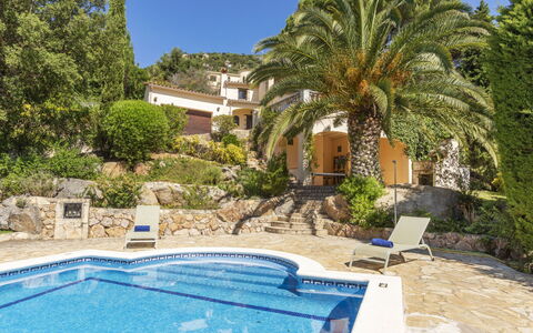 Venecia: Ricorrere, Landscaping, Estate, Eco Hotel, Villa, Piscina, Flagstone, Hacienda, Tropici