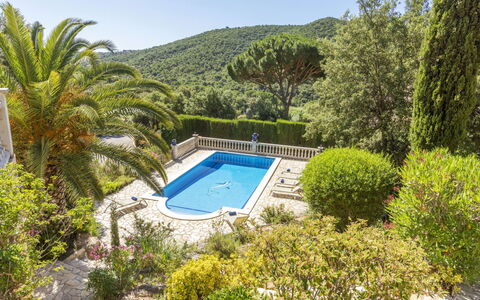 Venecia: Ricorrere, Piscina, Giardino, Eco Hotel, Landscaping, Estate, Tropici, Villa, Resort Citta '