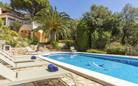 Venecia: Piscina, Ricorrere, Eco Hotel, Estate, Shade, Hacienda, Tropici, Villa, Landscaping, Flagstone