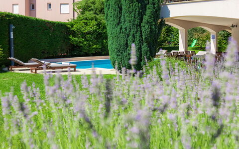 Carmen: Verde, Erba, Lavanda, Albero, Pianta, Graminacee, Prato, Giardino, Arbusto, Architettura