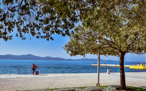 Jure: Acqua, Pianta, Cielo, Natura, Paesaggio Naturale, Luce Del Sole, Shade, Albero, Costiera E Morfologie Oceanic