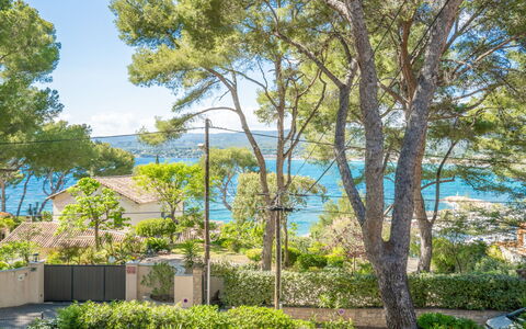 Les Goelands: Pianta, Proprietà, Cielo, Comunita 'Impianto, Nube, Paesaggio Naturale, Shade, Luce Del Sole, Albero, Erba