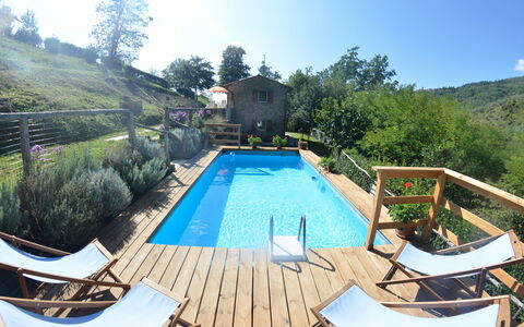 Anfora!!: Piscina, Proprietà, Tempo Libero, Casa, Immobiliare, Backyard, Costruzione, Vacanza, Estate, Albero