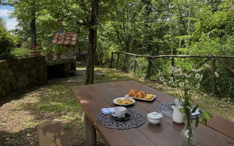 Anfora!!: Legna, Tronco, Primavera, Foresta, Giardino, Shade, Luce Del Sole, Villetta, Woodland, Tavolo Esterno