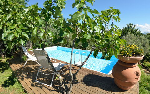 Bettina!: Proprietà, Albero, Pianta, Immobiliare, Tempo Libero, Vacanza, Casa, Piscina, Fiore, Estate