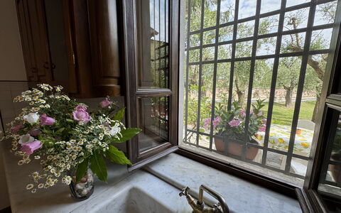 Casa Romana: Bicchiere, Vaso Di Fiori, Ferro, Pianta Della Casa, Illuminazione Diurna, Balcone