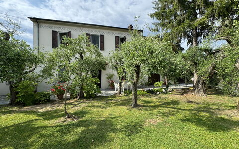 Casa Romana: Casa, Arbusto, Zona Residenziale, Giardino, Casa, Prato, Backyard, Cortile, Estate