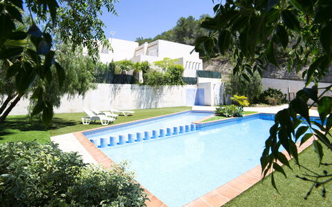 Una: Acqua, Pianta, Proprietà, Piscina, Costruzione, Albero, Azzurro, Cielo, Shade, Arecales