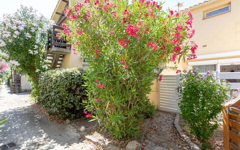 Les Cabestans 1,2,3: Fiore, Pianta, Costruzione, Finestra, Cielo, Casa, Lotto, Manto Stradale, Zona Residenziale, Arbusto