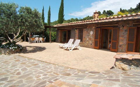 Raggio Di Sole Sull'argentario: Proprietà, Costruzione, Casa, Estate, Terrazza, Flagstone, Casa, Immobiliare, Cortile, Albero