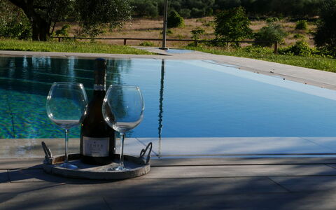 Agriturismo La Pieve: Acqua, Piscina, Albero, Tempo Libero, Vacanza, Giochi D'Acqua, Paesaggio, Pianta, Bicchiere, Casa