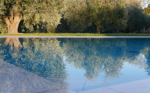Agriturismo La Pieve: Riflessione, Acqua, Natura, Paesaggio Naturale, Blu, Albero, Risorse Idriche, Cielo, Lago, Reflecting Pool