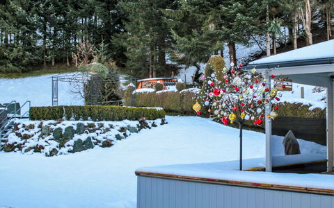 Poldi: Neve, Inverno, Casa, Albero, Backyard, Ghiaccio, Casa, Cortile, Congelamento, Pianta