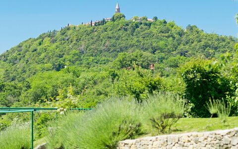 Panorama 2: Vegetazione, Natura, Paesaggio Naturale, Verde, Riserva Naturale, Albero, Hill Station, Botanica, Giardino Botanico, Collina