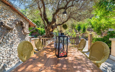 Cala Tuent: Albero, Proprietà, Botanica, Giardino, Primavera, Woody Impianto, Passerella, Pianta, Immobiliare, Casa