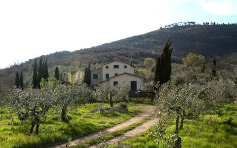 Villa Eleonora: Paesino Di Montagna, Paesaggio Naturale, Proprietà, Hill Station, Area Rurale, Collina, Albero, Primavera, Highland, Montagna