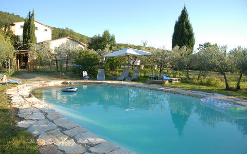Villa Eleonora: Piscina, Proprietà, Immobiliare, Tempo Libero, Estate, Acqua, Ricorrere, Casa, Vacanza, Albero
