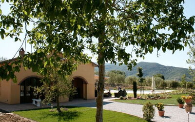 Outdoor view