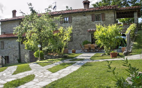 Villa Magnolia: Proprietà, Casa, Costruzione, Cortile, Villetta, Giardino, Zona Residenziale, Casa, Immobiliare, Erba