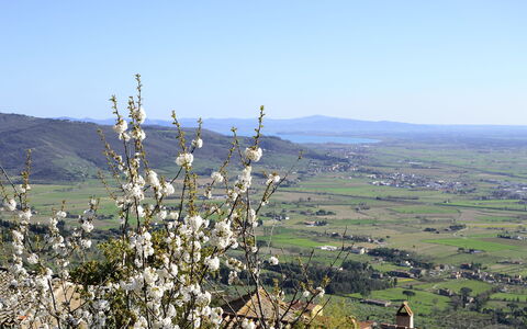 Appartamento Il Teatro: Chaparral, Collina, Albero, Pianta, Fell, Montagna, Comunita 'Impianto, Paesaggio, Wildflower, Fiore