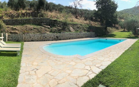Villa Oleandro: Piscina, Proprietà, Erba, Backyard, Villa, Lotto, Paesaggio, Rettangolo, Tempo Libero, Estate