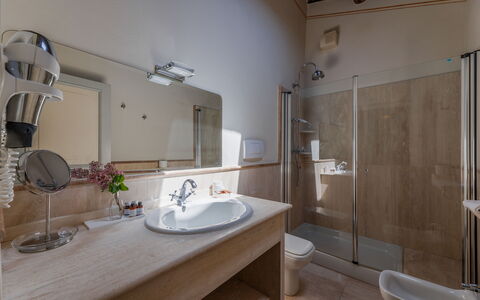 Terrazza Cortonese: Specchio, Idraulico Fixture, Rubinetto, Lavello, Proprietà, Bagno, Lavandino Del Bagno, Legna, Doccia, Pavimentazione