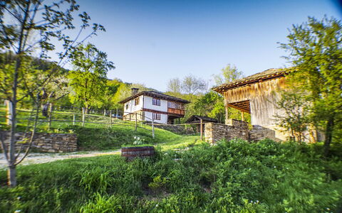 Karashka: Casa, Proprietà, Vegetazione, Casa, Verde, Immobiliare, Giorno, Architettura, Albero, Costruzione