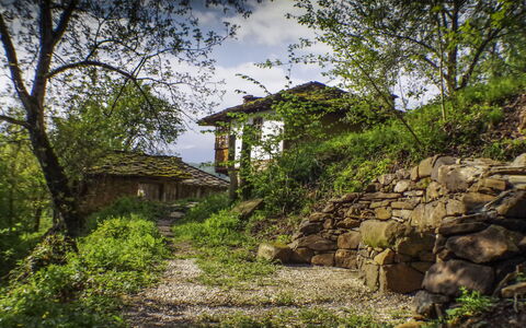 Karashka: Vegetazione, Paesaggio Naturale, Natura, Verde, Albero, Casa, Parete, Muro ​​Di Pietra, Area Rurale, Roccia