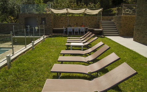 Villa Degli Ulivi: Erba, Prato, Giardino, Architettura, Botanica, Backyard, Cortile, Casa, Design, Landscaping