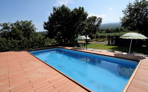 Serena: Piscina, Proprietà, Immobiliare, Tempo Libero, Casa, Casa, Backyard, Erba, Albero, Costruzione