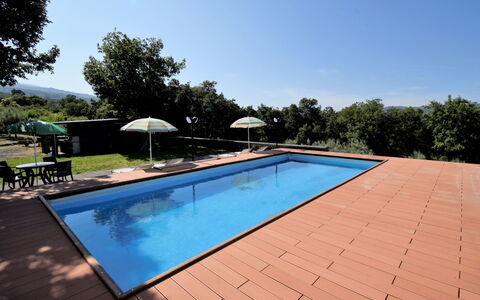 Serena: Piscina, Proprietà, Immobiliare, Casa, Casa, Tempo Libero, Costruzione, Estate, Backyard, Erba