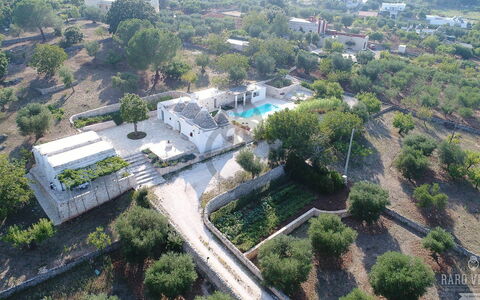 Trullo Oak: Pianta, Giorno, Costruzione, Albero, Urban Design, Lotto, Quartiere, Zona Residenziale, Paesaggio, Immobiliare