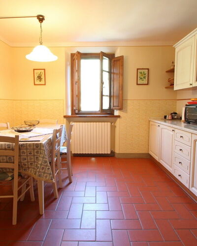 Corbezzolo