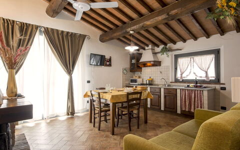 Alloggio:&nbsp;Loggiato 730.4