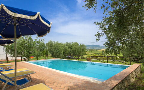 Vinci 730: Acqua, Cielo, Proprietà, Pianta, Nube, Piscina, Natura, Azzurro, Shade, Albero