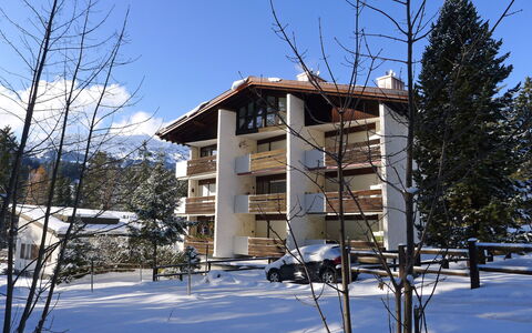 Rustica: Neve, Inverno, Proprietà, Casa, Casa, Albero, Immobiliare, Costruzione, Architettura, Congelamento