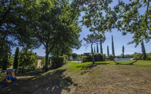 Villa Del Monte: Albero, Erba, Lotto, Woody Impianto, Fotografia, Strada, Immobiliare, Paesaggio, Pianta, Area Rurale