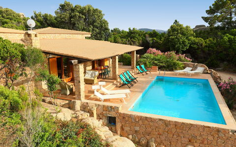 Petra Rossa: Proprietà, Piscina, Casa, Immobiliare, Estate, Casa, Costruzione, Backyard, Villa, Vacanza