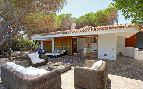 Audarya (Vgm610): Proprietà, Casa, Casa, Costruzione, Immobiliare, Backyard, Terrazza, Camera, Estate, Interior Design