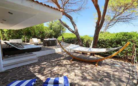 Audarya (Vgm610): Proprietà, Albero, Immobiliare, Casa, Cielo, Casa, Camera, Architettura, Vacanza