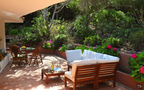 Terre Rare: Proprietà, Terrazza, Casa, Mobilia, Camera, Costruzione, Backyard, Immobiliare, Cortile, Balcone