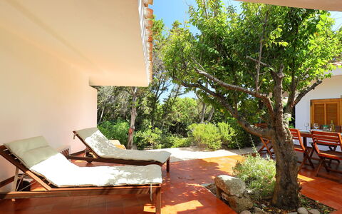 Terre Rare: Proprietà, Camera, Albero, Casa, Costruzione, Immobiliare, Interior Design, Mobilia, Pianta Della Casa, Casa