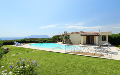 Iris: Proprietà, Casa, Architettura, Erba, Immobiliare, Costruzione, Lotto, Piscina, Casa, Villa