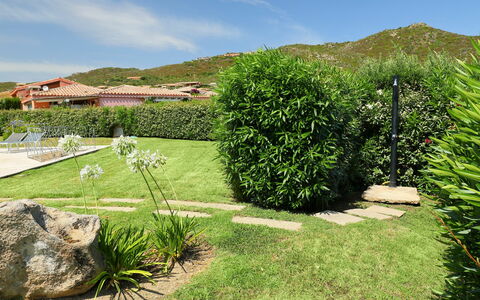 Iris: Erba, Verde, Giardino, Vegetazione, Proprietà, Paesaggio Naturale, Albero, Arbusto, Graminacee, Casa