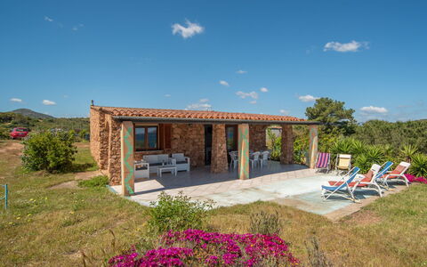 Flamingo: Pianta, Cielo, Nube, Costruzione, Azzurro, Finestra, Shade, Paesaggio Naturale, Albero, Fiore